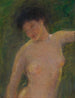 In the Shadow - Alice Pike Barney — artwork view