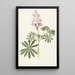 Lupin - Alida Withoos — framed artwork on a wall