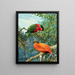 Lori des Fidji et colombe orange - Allan Brooks — framed artwork on a wall