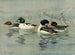 GoldenEye Barrows - Allan Brooks — artwork view