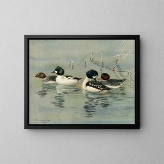 GoldenEye Barrows - Allan Brooks — framed artwork on a wall