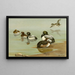 Petit fuligule - Allan Brooks — framed artwork on a wall