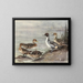 Chilean Pileated Duck - Allan Brooks — framed artwork on a wall