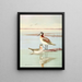 Wilson's Phalarope - Allan Brooks — framed artwork on a wall