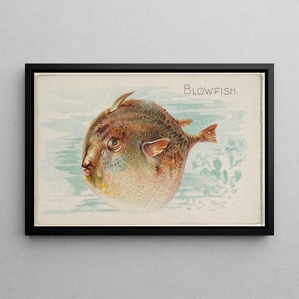 Fish Globe - Allen Ginter — framed artwork on a wall