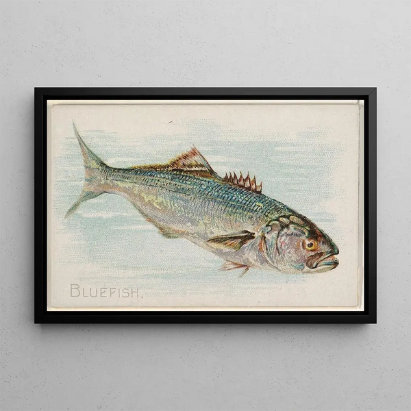 Blue Fish - Allen Ginter — framed artwork on a wall