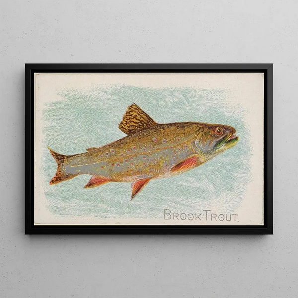 Stream Trout Painting - Allen Ginter — framed artwork on a wall