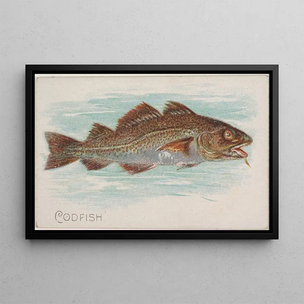 Codfish - Allen Ginter — framed artwork on a wall