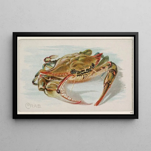 Crab - Allen Ginter — framed artwork on a wall