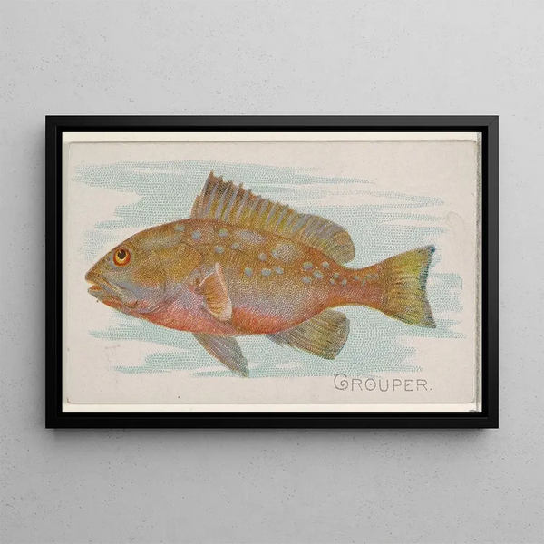 Grouper - Allen Ginter — framed artwork on a wall