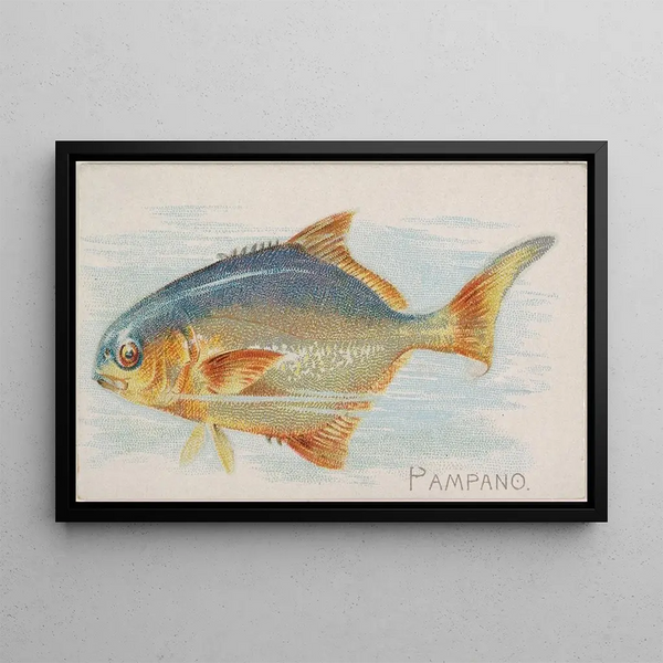 Pampano - Allen Ginter — framed artwork on a wall