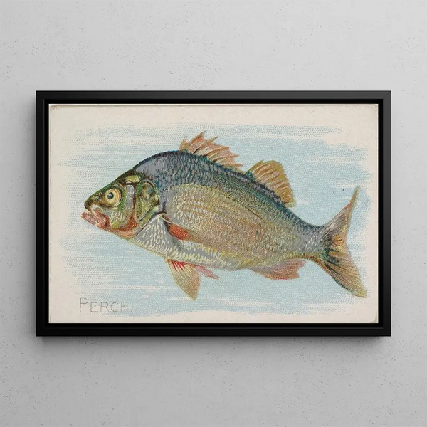 Perche - Allen Ginter — framed artwork on a wall