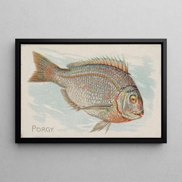 Porgy - Allen Ginter — framed artwork on a wall