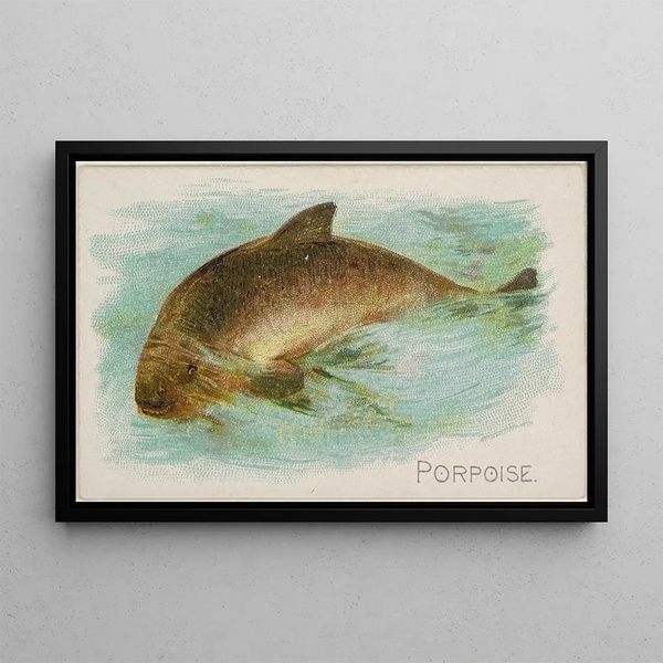 Marsouin - Allen Ginter — framed artwork on a wall