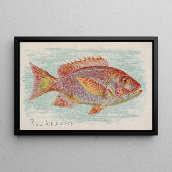 Red Snapper Painting - Allen Ginter — framed artwork on a wall