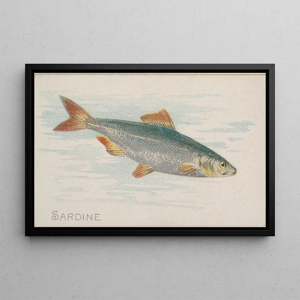 Sardine Painting - Allen Ginter — framed artwork on a wall