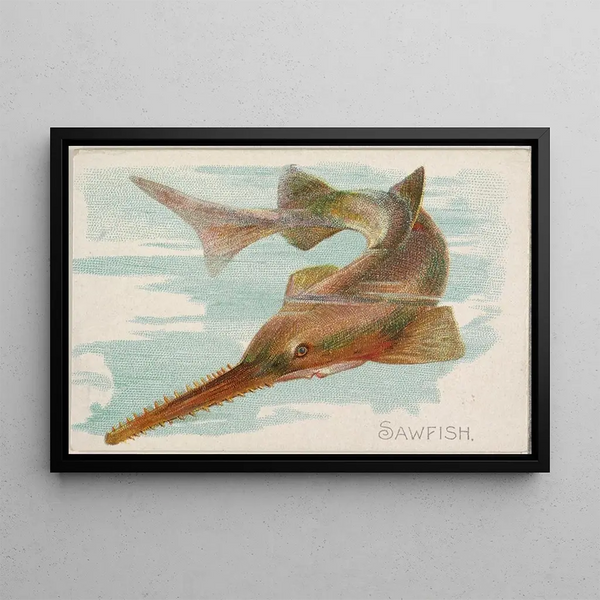Fish-saw - Allen Ginter — framed artwork on a wall