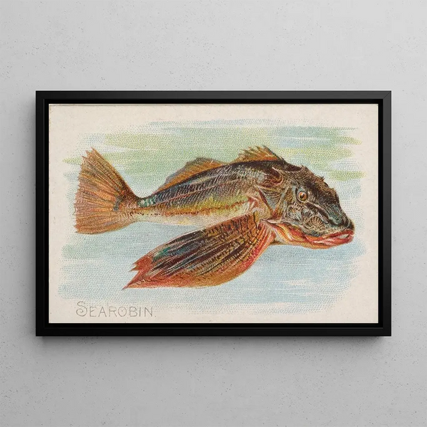 Grondin - Allen Ginter — framed artwork on a wall