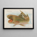 Shark Painting - Allen Ginter — framed artwork on a wall