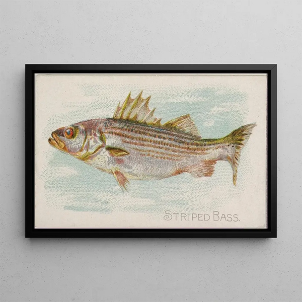 Bar rayé painting - Allen Ginter — framed artwork on a wall