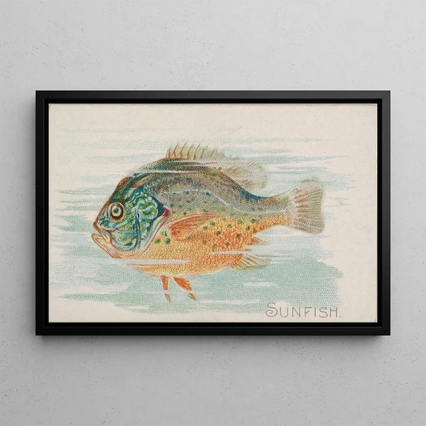 Fish Moon - Allen Ginter — framed artwork on a wall
