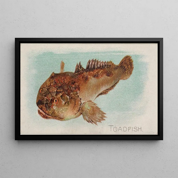 Fish-toad - Allen Ginter — framed artwork on a wall