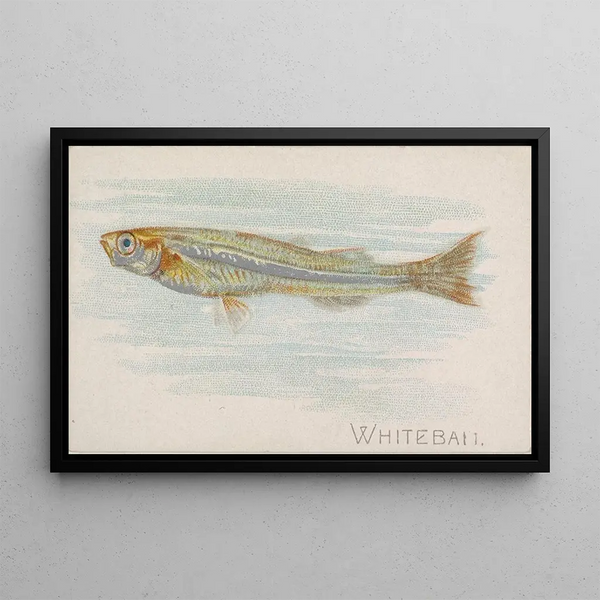 Eperlan - Allen Ginter — framed artwork on a wall