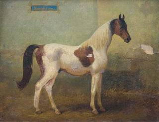 Young Spotted Stallion Painting in the Stable - Alois Bach — artwork view