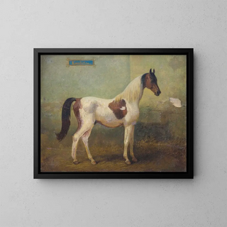 Young Spotted Stallion Painting in the Stable - Alois Bach — framed artwork on a wall