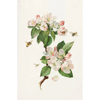 Apple Blossom and Bees - Alois Lunzer — artwork view