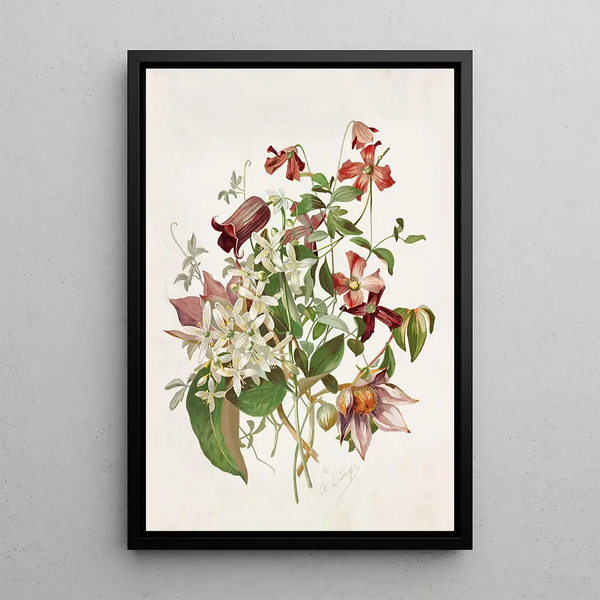 Clématite Painting - Alois Lunzer — framed artwork on a wall