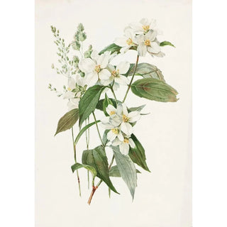 Seringat - Alois Lunzer — artwork view