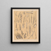 The North American Cave Fauna Pl 03 - Alpheus Spring Packard — framed artwork on a wall
