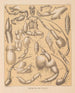 The North American Cave Fauna Pl 04 - Alpheus Spring Packard — artwork view