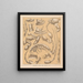 The Cave Fauna of North America Pl 05 - Alpheus Spring Packard — framed artwork on a wall