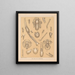 The Cave Fauna of North America Pl 11 - Alpheus Spring Packard — framed artwork on a wall