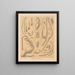 The Cave Fauna of North America Pl 12 - Alpheus Spring Packard — framed artwork on a wall