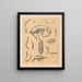 The North American Cave Fauna Pl 16 - Alpheus Spring Packard — framed artwork on a wall