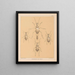 The Cave Fauna of North America Pl 18 - Alpheus Spring Packard — framed artwork on a wall