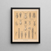 The North American Cave Fauna Pl 20 - Alpheus Spring Packard — framed artwork on a wall