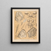La faune des grottes d'Amérique du Nord Pl 21 - Alpheus Spring Packard — framed artwork on a wall