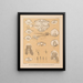 The North American Cave Fauna Pl 23 - Alpheus Spring Packard — framed artwork on a wall