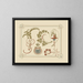 an abstract design based on flowers and leaves - Alphonse Mucha — framed artwork on a wall