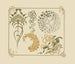 Abstract design based on stars, circles, and leaves - Alphonse Mucha — artwork view
