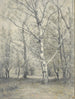 Birch Forest - Alphonse Stengelin — artwork view