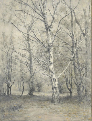 Birch Forest - Alphonse Stengelin — artwork view