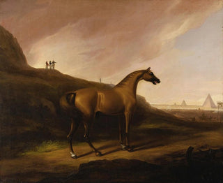 The Napoleon's Horse - Alvan Fisher — artwork view