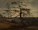 Pin des fjords de Setesdal - Amaldus Nielsen — artwork view