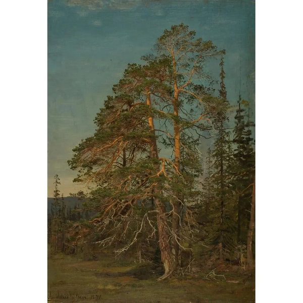 Furuer Levanger - Amaldus Nielsen — framed artwork on a wall