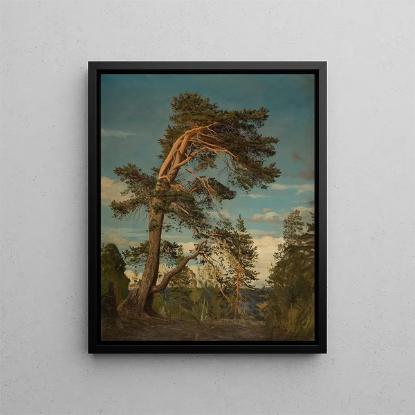 Old pine pire in Setesdal - Amaldus Nielsen — framed artwork on a wall